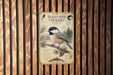 a poster of a black-capped chickadee perched on a branch, with a detailed illustration and text providing information about the bird.