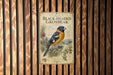a poster of a black-headed grosbeak, which is a type of bird, displayed on a wooden wall.