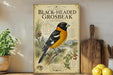 a framed illustration of a black-headed grosbeak, a bird species, on a shelf next to a wooden cutting board and some potted plants.