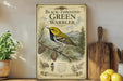 a vintage-style poster of a black-throated green warbler, a bird species known for its distinctive black and yellow plumage, perched on a pine branch. The poster is displayed on a wooden shelf, surrounded by various kitchen utensils and a potted plant.