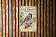 a poster of a black-throated sparrow, which is mounted on a wooden wall.