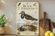 a vintage-style illustration of a black turnstone bird, specifically a sandpiper, perched on a rock. The bird is depicted in a detailed and realistic manner, with its distinctive black and white plumage and striking yellow beak. The illustration is set against a backdrop of a rocky coastline, adding to the overall aesthetic of the scene. The image is framed by a decorative border, and there are some potted plants and other objects in the background, creating a sense of depth and context.
