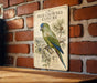 a vintage-style metal sign with a detailed illustration of a blue-crowned conure parrot perched on a branch.