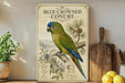 a vintage-style poster of a blue-crowned conure parrot, with illustrations of the bird and its natural habitat. The poster is displayed on a shelf next to a wooden cutting board and a potted plant.
