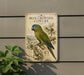 a vintage-style metal sign with a colorful illustration of a blue-crowned conure parrot perched on a branch.