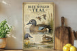 a vintage-style illustration of a blue-winged teal waterfowl, with accompanying text describing the bird's characteristics and habitat.