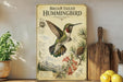 a framed illustration of a broad-tailed hummingbird, with a detailed illustration of the bird in flight and surrounding flora.