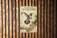 a metal sign with a detailed illustration of a hummingbird, mounted on a wooden wall.