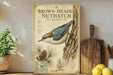 a vintage-style poster of a brown-headed nuthatch, a type of bird, displayed on a shelf next to a wooden cutting board and some potted plants.