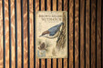 a poster for "Brown-Headed Nuthatch" hanging on a wooden wall.
