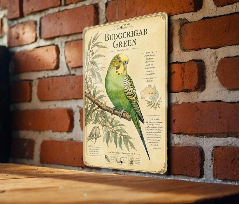 a vintage-style poster of a Budgerigar Green parrot, mounted on a brick wall.