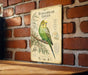 a vintage-style poster of a Budgerigar Green parrot, mounted on a brick wall.