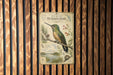 a vintage-style metal sign with a detailed illustration of a hummingbird perched on a branch, surrounded by flowers and foliage.