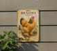 a vintage-style metal sign with a large illustration of a chicken, mounted on a wall.