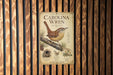a poster of a Carolina Wren, a bird, mounted on a wooden wall.
