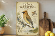 a vintage-style illustration of a cedar waxwing bird perched on a branch, surrounded by pine cones and berries, with a wooden paddle and a potted plant in the background.