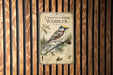 a vintage-style poster of a chestnut-sided warbler, which is a type of bird, mounted on a wooden wall.