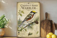 a framed illustration of a chestnut-sided warbler, a type of bird, with a detailed illustration of the bird perched on a branch and surrounded by pine cones and flowers. The frame has a vintage-style design, and the bird is depicted in a realistic manner. The image is placed on a shelf next to a potted plant and a cutting board, creating a homely and rustic atmosphere.