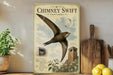 a vintage-style poster of a bird, specifically a Chimney Swift, flying over a brick chimney with a birdhouse below. The poster is displayed on a wall next to a wooden cutting board and a potted plant.