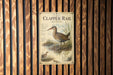a vintage-style poster of a Clapper Rail bird, which is a type of wading bird that lives in wetland areas. The poster is mounted on a wooden wall and includes a detailed illustration of the bird and its natural habitat.
