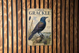 a vintage-style illustration of a blue bird perched on a rock, surrounded by plants and a body of water.