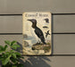 a metal sign with illustrations and text about the Common Murre, a bird species native to the North Atlantic and Arctic regions.