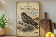 a poster of a Common Night Hawk, a bird of prey, perched on a branch with a detailed illustration of the bird and its natural habitat.