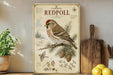 a vintage-style poster of a Common Redpoll bird perched on a pine branch, surrounded by pine cones and other natural elements. The poster is displayed on a shelf next to a wooden cutting board and a potted plant.