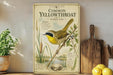 a vintage-style illustration of a yellowthroat bird, with a wooden board displaying the bird's scientific name and other details. The bird is perched on a branch with reeds, and there are some lemons and a potted plant visible in the background.