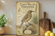 a vintage-style poster of a curve-billed thrasher bird, with a map and illustrations of the bird and its natural habitat. The poster is displayed on a shelf next to a wooden cutting board and a potted plant.