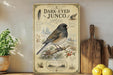 a vintage-style illustration of a dark-eyed junco bird perched on a branch, surrounded by various natural elements such as pine cones, berries, and leaves. The illustration is set against a backdrop of a snowy landscape, and the bird is depicted in a detailed and realistic manner. The overall composition and style of the image suggest it is a decorative piece, possibly used as a wall hanging or a framed print.