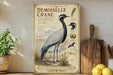 a vintage-style illustration of a demoiselle crane, a tall and elegant bird with a black and white plumage, standing in a natural setting with a mountain backdrop. The illustration is accompanied by text that provides information about the demoiselle crane, including its habitat, diet, and behavior. The image is displayed on a wooden shelf, with a potted plant, a cutting board, and some lemons nearby.