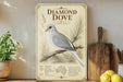 a vintage-style poster of a diamond dove, with a detailed illustration of the bird perched on a branch and surrounded by pine needles and other natural elements. The poster is displayed on a shelf next to a wooden cutting board and a potted plant, creating a rustic and homey atmosphere.