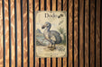 a vintage-style illustration of a dodo bird, which is a flightless bird native to the island of Mauritius. The illustration depicts the dodo in a natural setting, surrounded by palm trees and other vegetation. The dodo is depicted in a detailed and ornate manner, showcasing the artistic style of the time period in which the illustration was created.