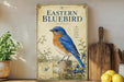 a framed illustration of a bluebird perched on a tree stump, surrounded by flowers and berries, with a vintage-style cover.