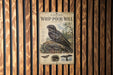 a poster or sign with an illustration of a bird, likely a species of owl, perched on a branch. The poster is mounted on a wooden wall with vertical slats.