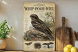 a poster of a bird, specifically a snapping owl, with a detailed illustration and text. The poster is displayed on a wall, surrounded by various kitchen items such as a cutting board, a knife, a bowl, and a potted plant.