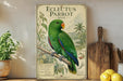 A vintage poster of an Eclectus parrot is displayed on a shelf, surrounded by kitchen utensils and a potted plant.