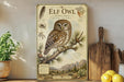 a poster of an elf owl, which is a small owl species, perched on a branch with pine needles and mountains in the background. The poster also includes text and illustrations related to the elf owl, such as its habitat, diet, and behavior.