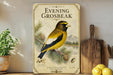 a vintage-style poster of a yellow and black bird, specifically a golden oriole, perched on a pine branch. The poster is displayed on a shelf next to a wooden cutting board and a potted plant.