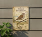 a sign depicting a sparrow, with a detailed illustration of the bird and its natural habitat.