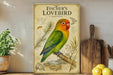a vintage-style poster of a colorful parrot, specifically Fischer's Lovebird, perched on a branch. The poster is displayed on a wall, surrounded by various kitchen items such as a cutting board, a knife, a bowl, and a potted plant.
