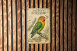 A vintage-style poster of a colorful parrot, specifically a Fischer's Lovebird, is displayed on a wooden wall.