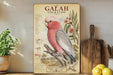 a framed illustration of a red cockatoo perched on a branch, surrounded by various botanical illustrations and text.