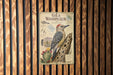 A metal sign with a woodpecker illustration and various bird-related illustrations and text is displayed on a wooden wall.