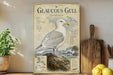 a poster or illustration of a gull, a large seabird, with a detailed illustration of its physical features and habitat. The poster is displayed on a shelf, with a potted plant and a wooden cutting board visible in the background.