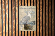 a poster of a gull, which is a type of seagull, displayed on a wooden wall.
