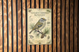 a poster of a golden-crowned kinglet, a small bird, mounted on a wooden wall.