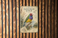 a colorful illustration of a Goul Dian finch, a type of bird, perched on a branch with various plants and flowers surrounding it.