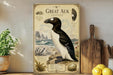 a vintage-style poster of a Great Auk, a large sea bird, displayed on a wall next to a wooden cutting board and some potted plants.